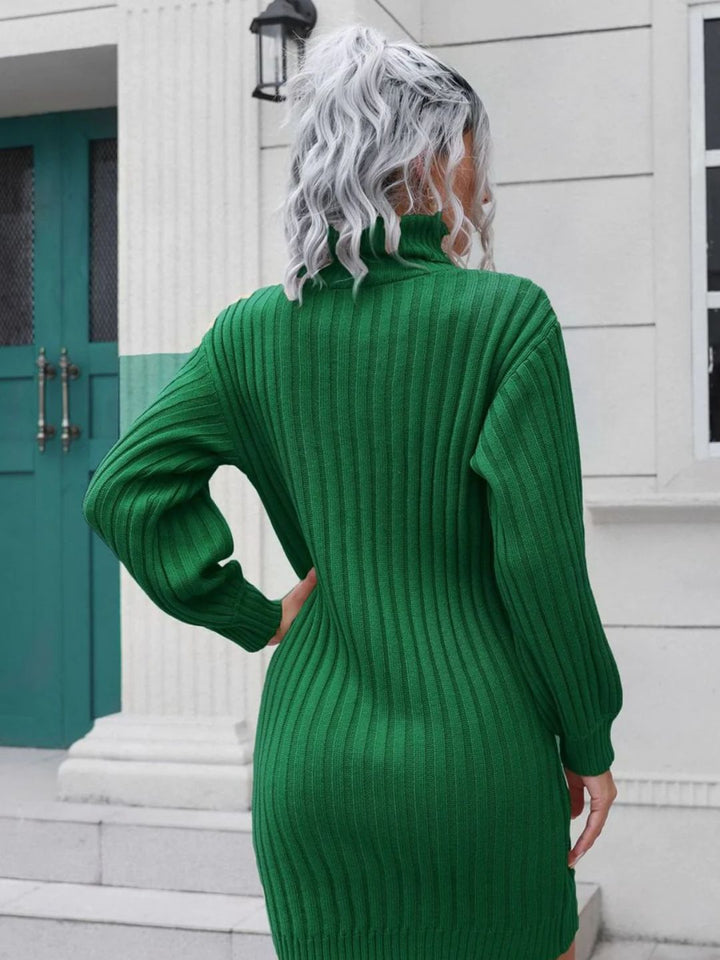 Ohnara Knitted Turtle Neck Sweater Dress