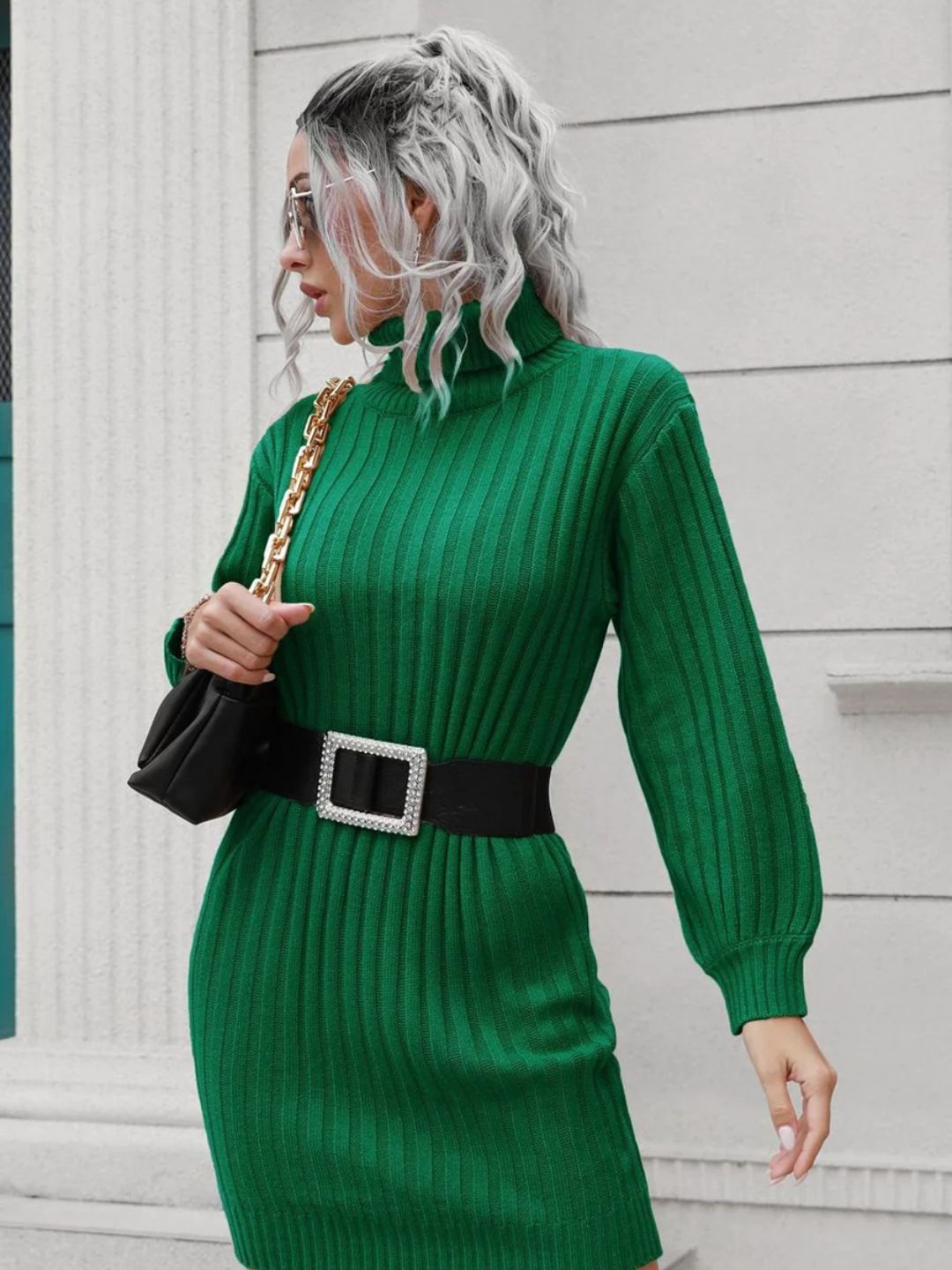 Ohnara Knitted Turtle Neck Sweater Dress