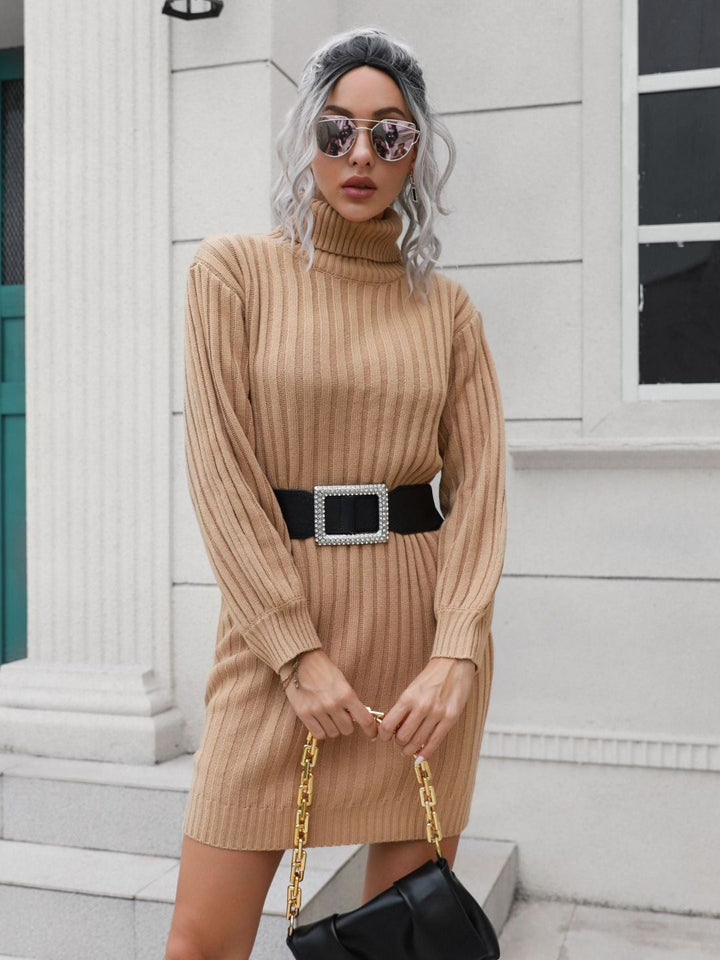 Ohnara Knitted Turtle Neck Sweater Dress