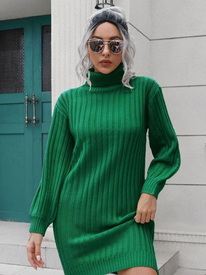 Ohnara Knitted Turtle Neck Sweater Dress