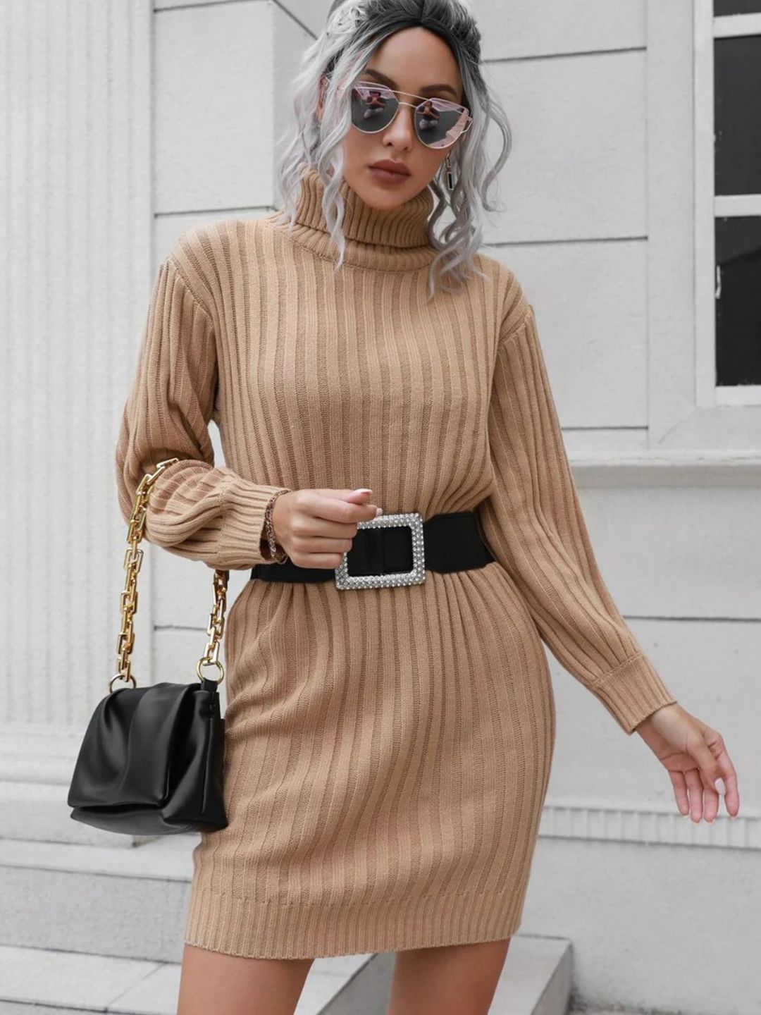 Ohnara Knitted Turtle Neck Sweater Dress