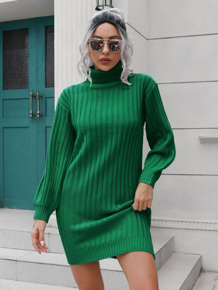 Ohnara Knitted Turtle Neck Sweater Dress