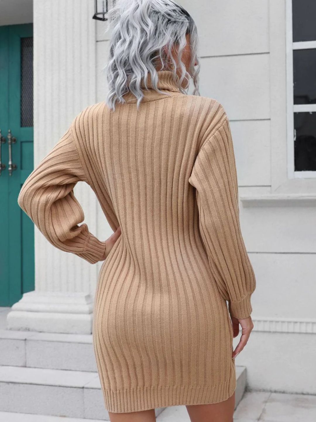 Ohnara Knitted Turtle Neck Sweater Dress